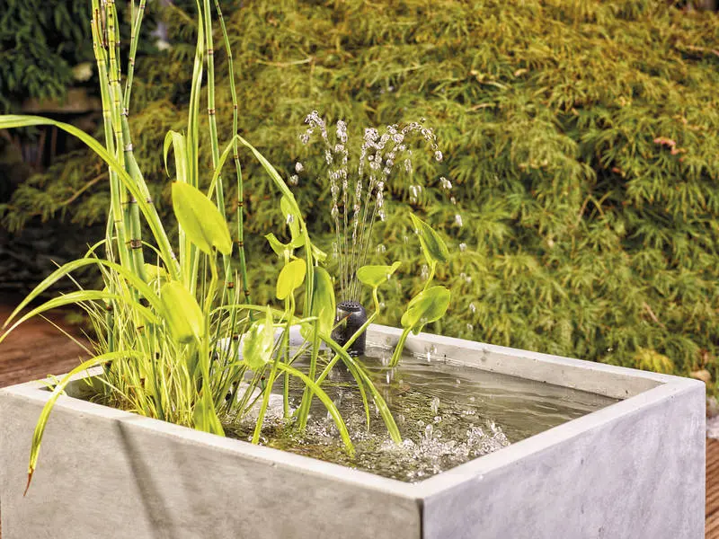 Unterwasserfilteraggregat, OASE Livingwater, Filtral UVC 1500, klares Wasser Teichbecken, Wasserbecken