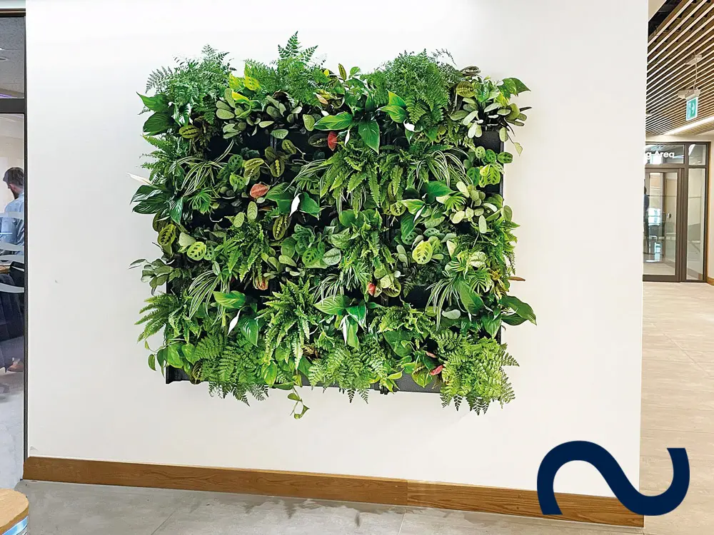 PlantBox, Wandbegrünung, Indoor, Outdoor, Living Wall, Vertikaler Garten, Moosbild, modern, eco
