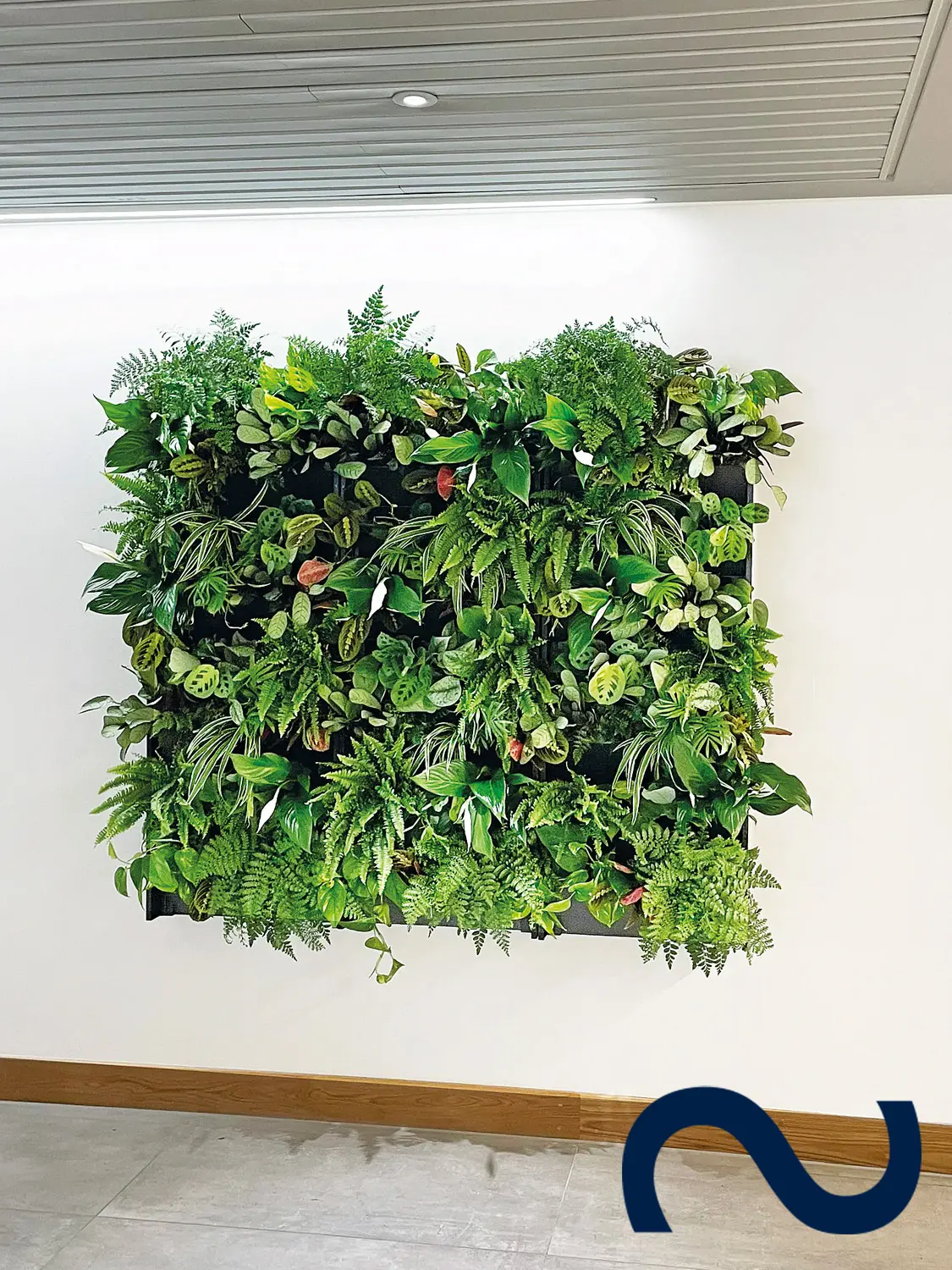 PlantBox, Wandbegrünung, Indoor, Outdoor, Living Wall, Vertikaler Garten, Moosbild, modern, eco