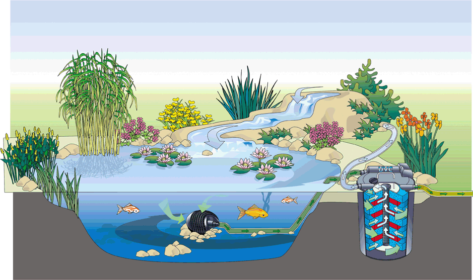 Математика в пруду. Прудик с рыбками. Водоемы для дошкольников. Макет водоема для детского сада. Рыбки в пруду.