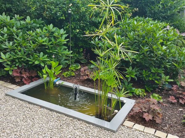 Miniteich im Garten Wasser im Garten mit Wassersprudler und Teichpflanzen