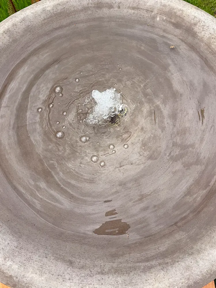 Imposanter und hochwertiger Schalenbrunnen auf einer Säule aus Impruneta-Ton aus der Toskana.