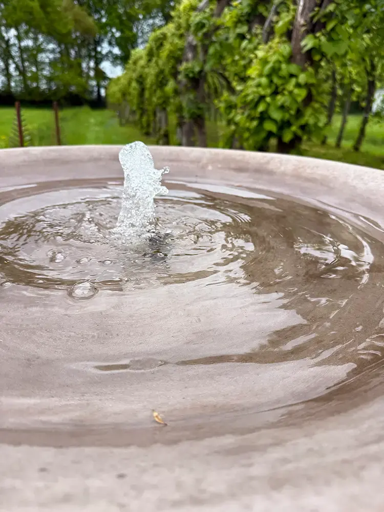 Imposanter und hochwertiger Schalenbrunnen auf einer Säule aus Impruneta-Ton aus der Toskana.