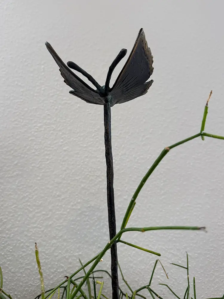 Bronze Schmetterling indoor und outdoor
