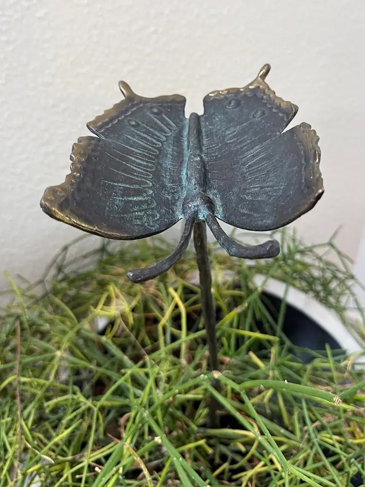 Bronze Schmetterling indoor und outdoor